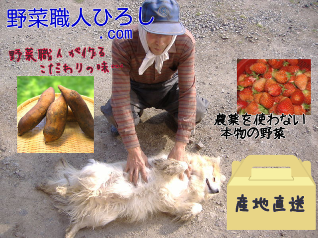 �ȥåץڡ���